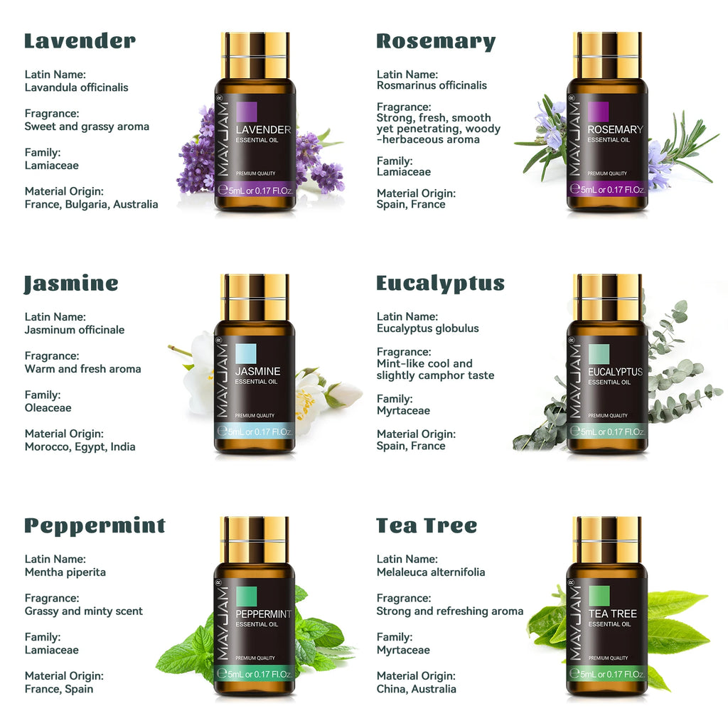 Lumivo 20-scent essential oil set — full collection of wellness and spa fragrance oils