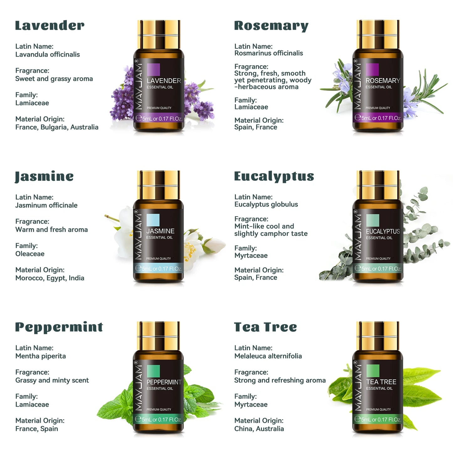 Lumivo Scent Set — Premium Aromatherapy Oils (20 Scents)